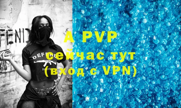 a pvp Белокуриха