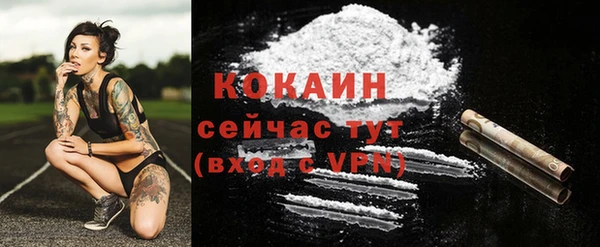 спайс Богданович