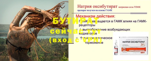 индика Белоозёрский