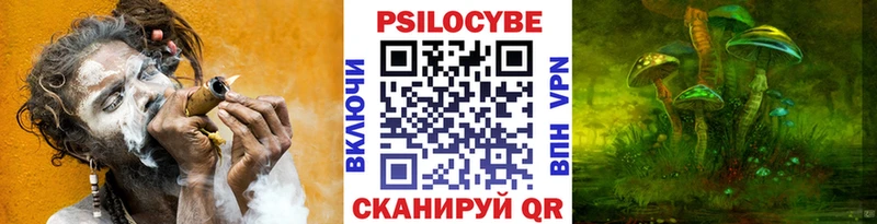 Купить где  Чайковский  Галлюциногенные грибы мицелий 
