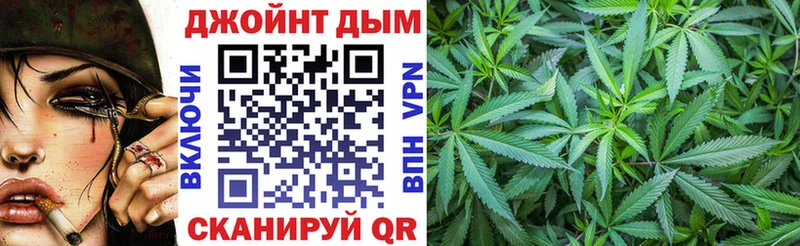 Канабис план  Купить закладки  Чайковский 